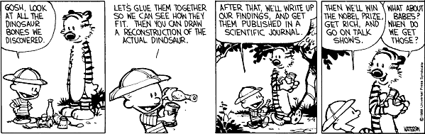 Calvin and Hobbs comics