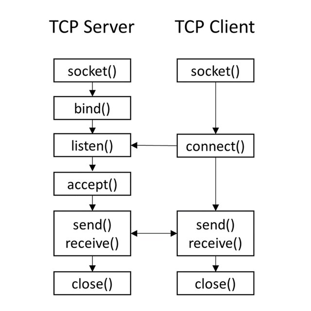 Présentation de TCP.