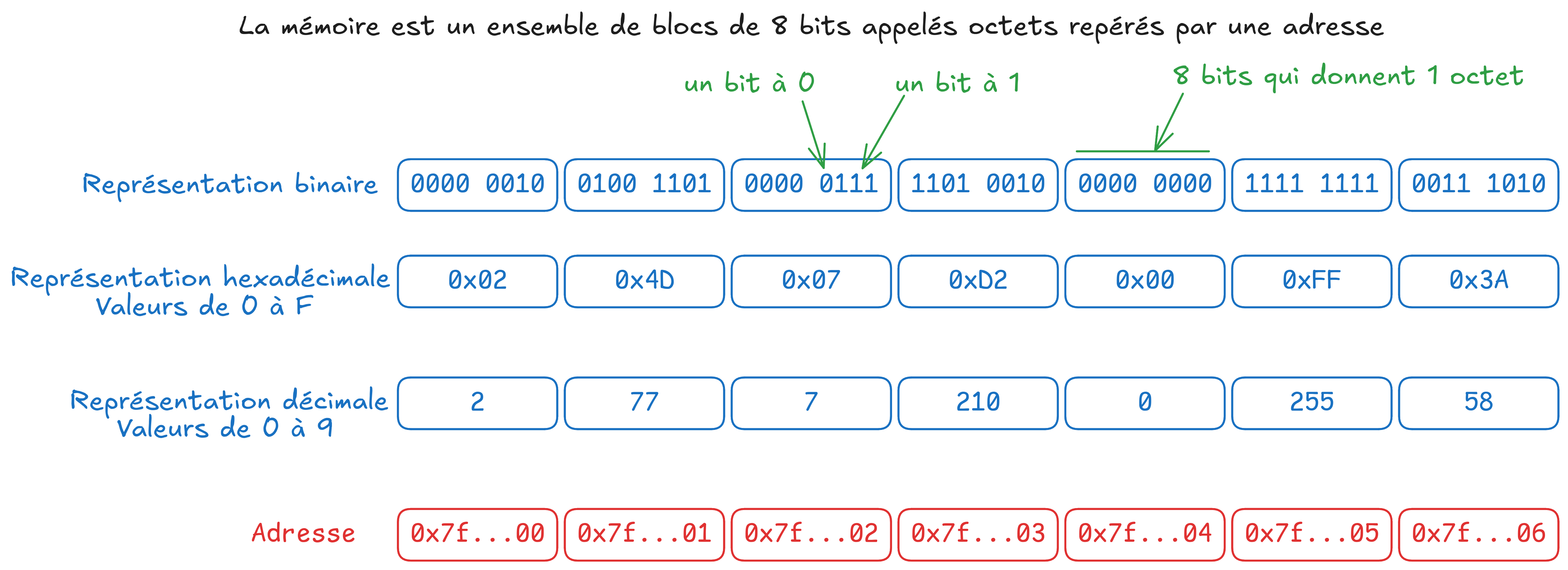 Image décrite ci-dessus
