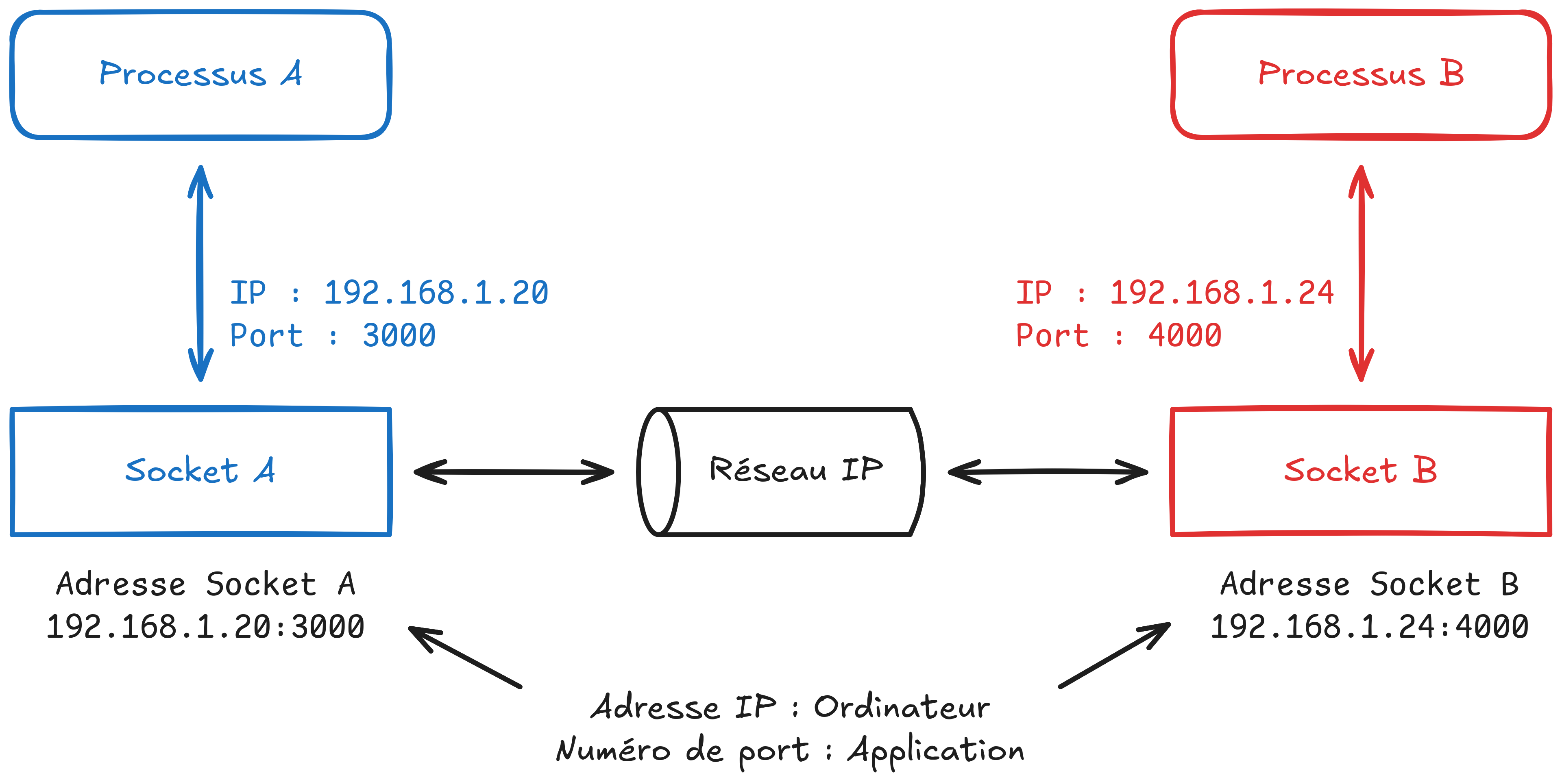 Deux processus qui utilisent des sockets pour communiquer via le réseau IP.