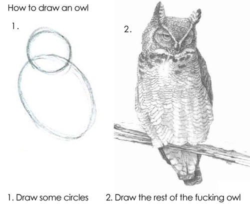 A joke, fake tutorial about how to draw an owl. Step 1: draw some circles (we see two circles). Step 2: draw the rest of the fucking owl (we see a perfect picture of an owl).