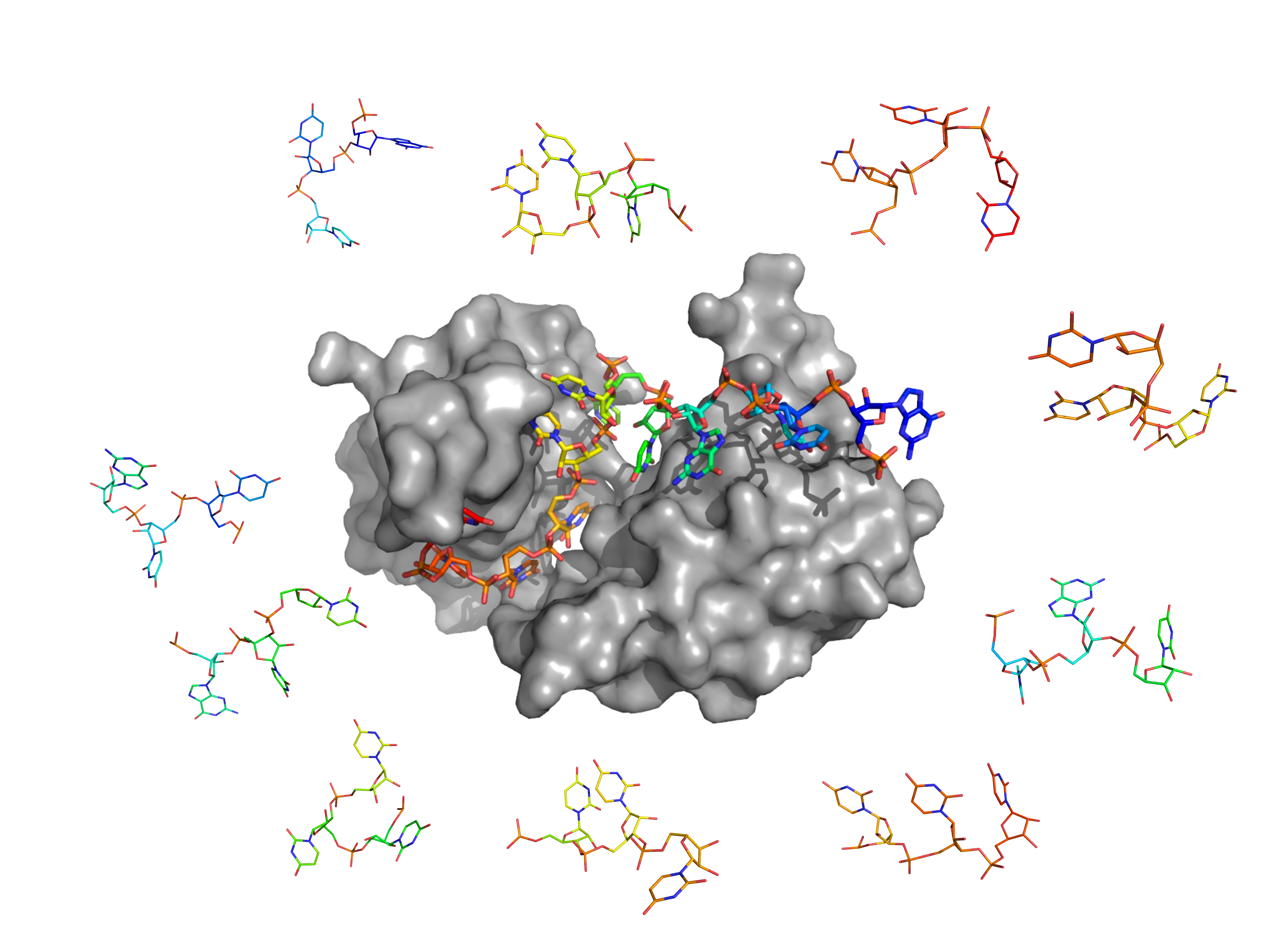 Fig-projet1