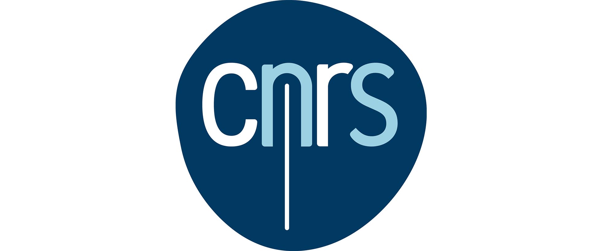 Logo cnrs