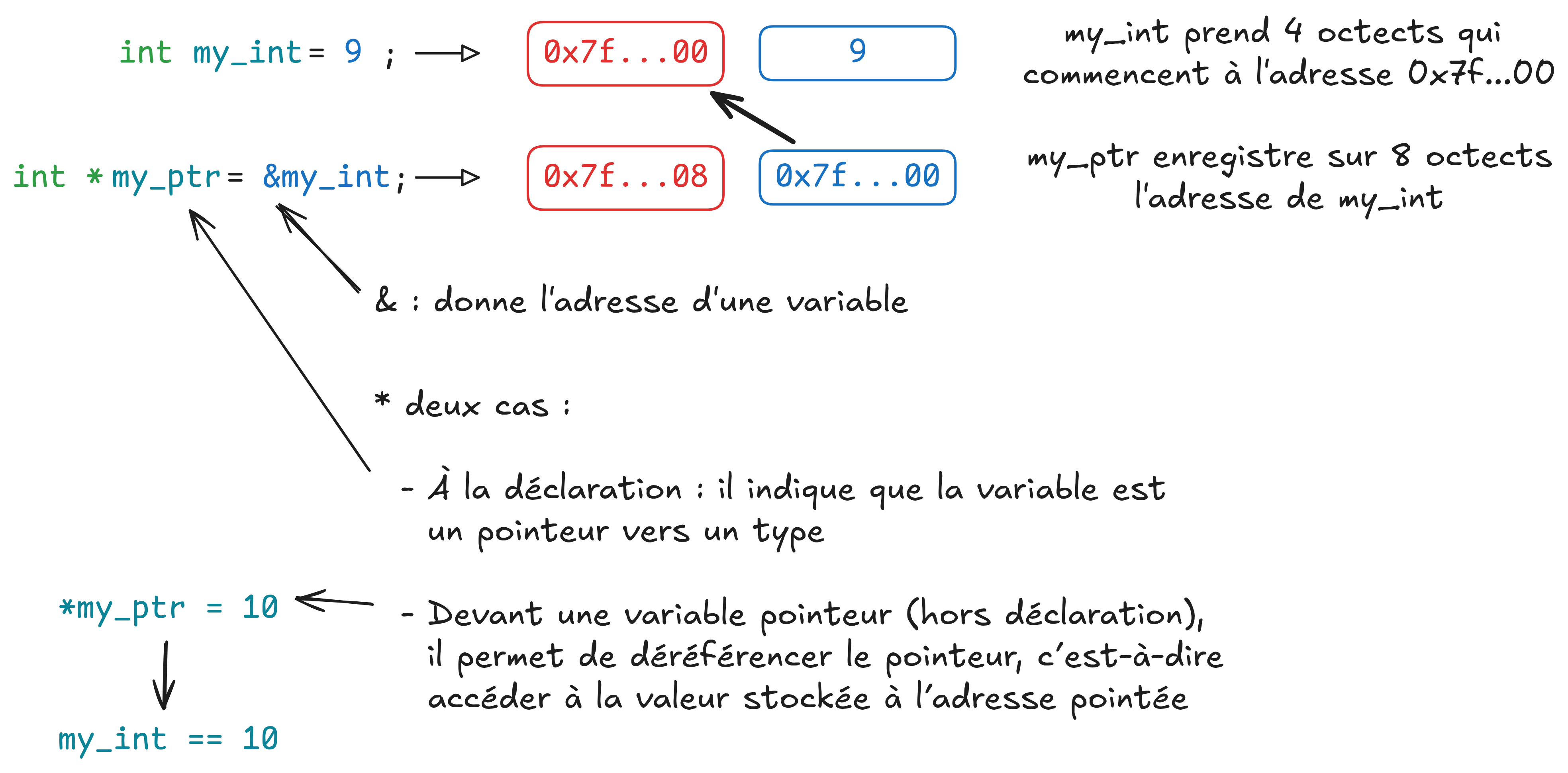 Image décrite ci-dessus